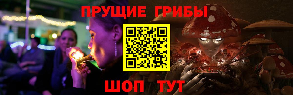 Псилоцибиновые грибы Psilocybe Прохладный